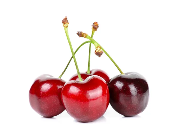Cherry elszigetelt fehér background — Stock Fotó