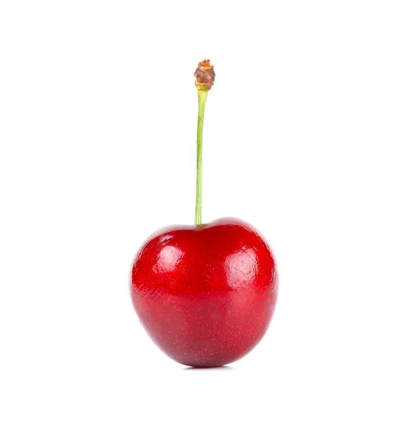 Cherry elszigetelt fehér alapon — Stock Fotó