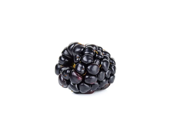 Enkele verse blackberry geïsoleerd op wit Stockfoto