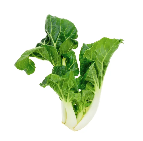 Bok choy vegetale isolato — Foto Stock