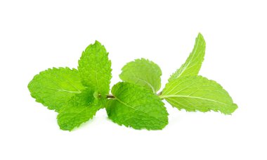 Beyaz arka plan üzerinde izole taze nane