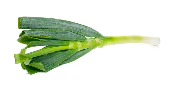 Japanische Zwiebel isoliert — Stockfoto