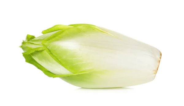 Chicory segar diisolasi pada latar belakang putih — Stok Foto