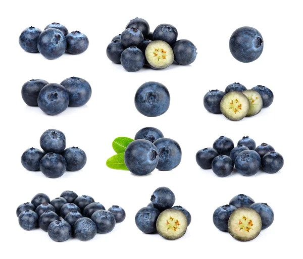 Beyaz arka planda yaban mersini izole edilmiş.