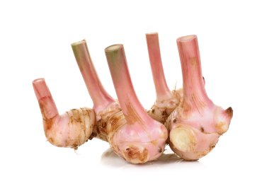 흰색 배경에 고립 된 생강