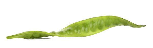 佐藤種子、パルキアのボケ種子または苦い bea — ストック写真