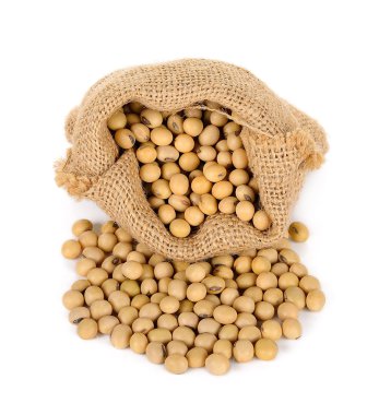 Beyaz arka plan üzerinde izole torbayla soya fasulyesi