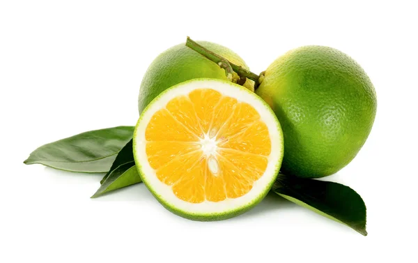 Citrus sinensis απομονωμένο σε λευκό φόντο — Φωτογραφία Αρχείου