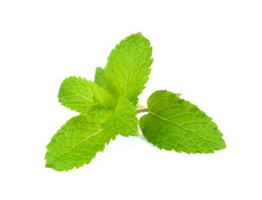 Beyaz arka plan üzerinde izole taze nane