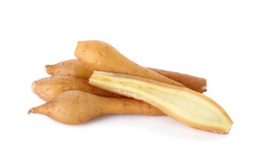 Beyaz arkaplanda parmak kökü izole edildi