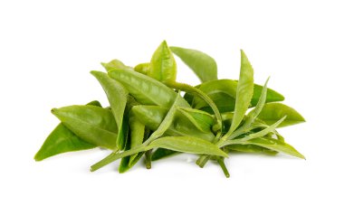 Beyaz arka plan üzerinde izole Beyaz Çay yaprağı