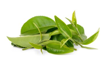 Beyaz arkaplanda yeşil çay yaprağı izole