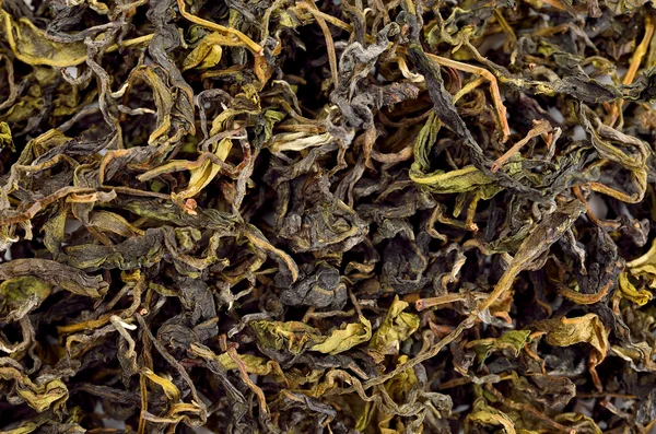 Висушений зелений чайний лист для текстури фону — стокове фото