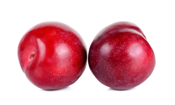 Frutto di prugna rossa isolato su sfondo bianco — Foto Stock