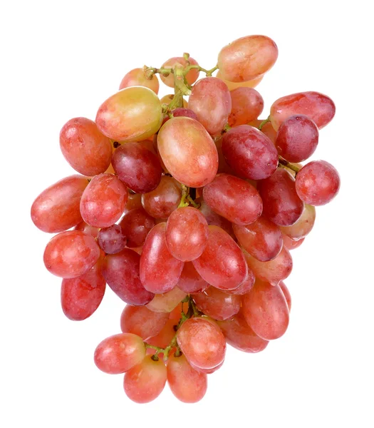Grape isolated on over white background — Stock Photo, Image