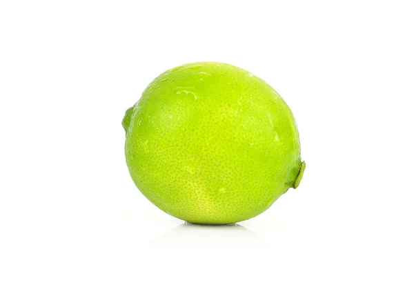 Um limão fresco inteiro isolado em um fundo branco — Fotografia de Stock