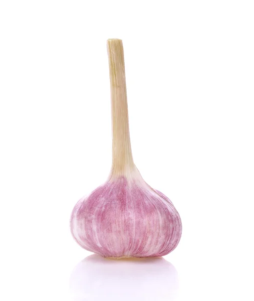 Knoblauch isoliert auf weißem Hintergrund — Stockfoto