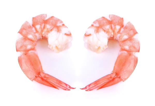 Shrimp isolated on white background — Stock Photo, Image