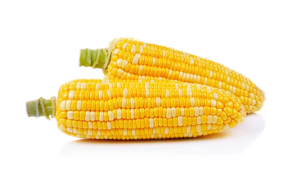 Corn isolated on a white background — Stock Photo, Image