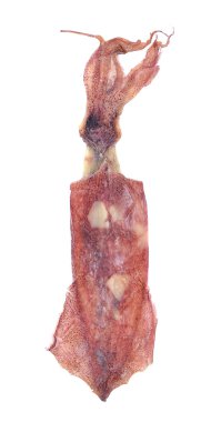 Kurutulmuş mürekkep balığı beyaz arkaplanda izole edildi