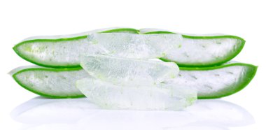 aloe vera beyaz arkaplanda izole