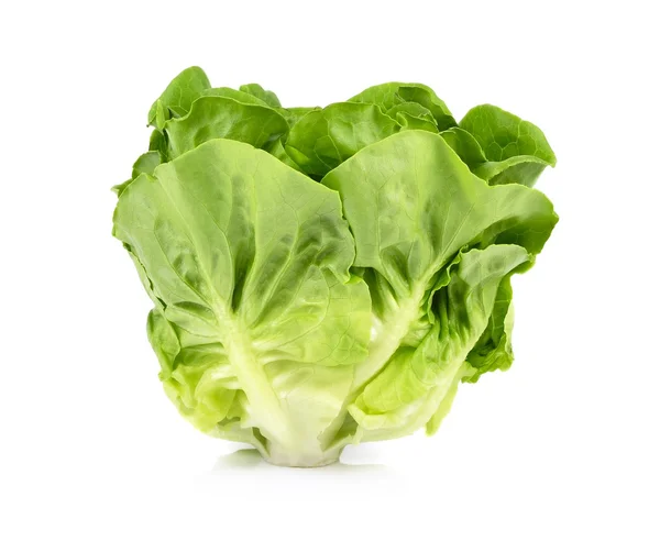 Листя салату ізольовані на білому тлі — стокове фото