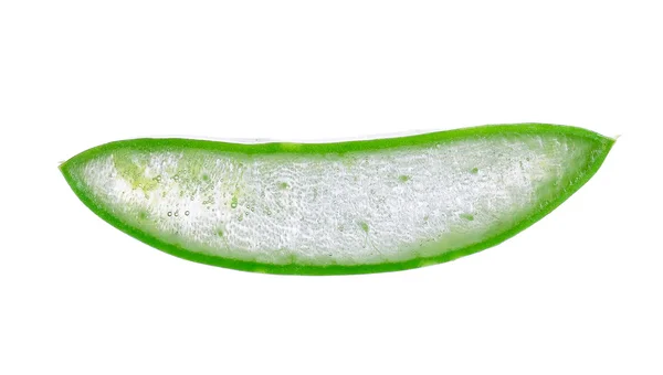 Aloe vera isolado sobre fundo branco — Fotografia de Stock