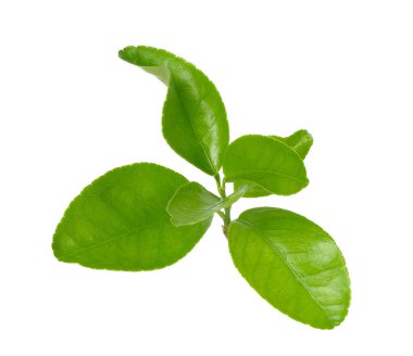 Taze limon izole üzerinde beyaz arka plan bırakır