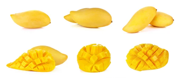 Aantal rijpe mango geïsoleerd op witte achtergrond — Stockfoto