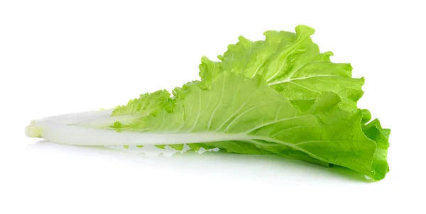 Листя салату ізольовані на білому фоні — стокове фото