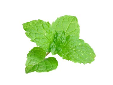 Beyaz arka plan üzerinde izole Peper nane