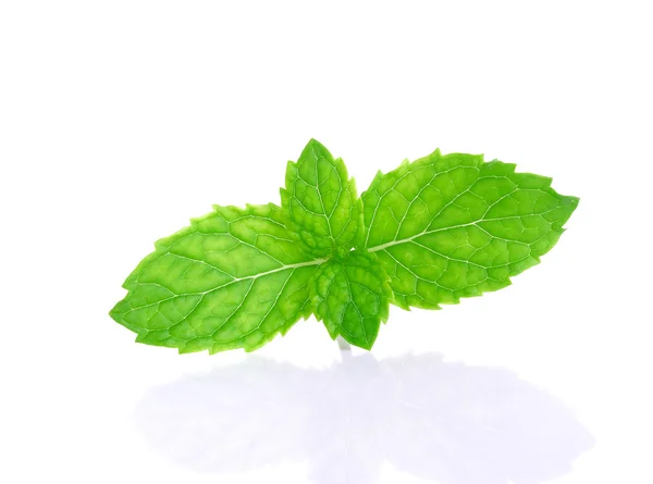 Peper mint isolated on the white background — Stock Photo, Image