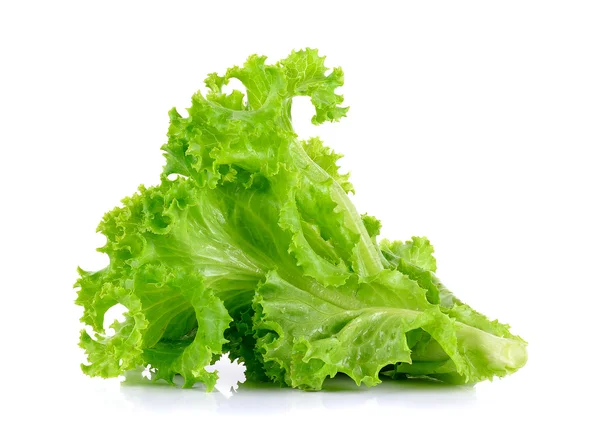 Beyaz arkaplanda marul izole