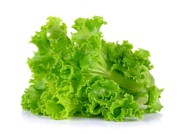 lettuce isolated on the white background