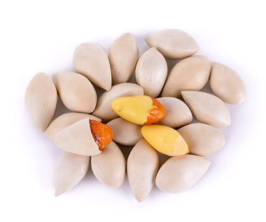 Beyaz arka plan üzerinde izole ginkgo