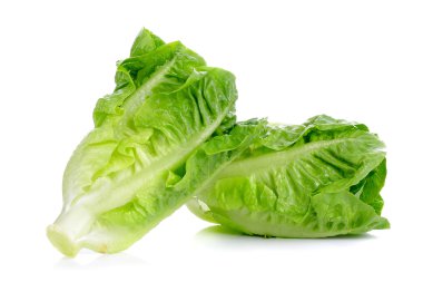 Beyaz arkaplanda marul izole