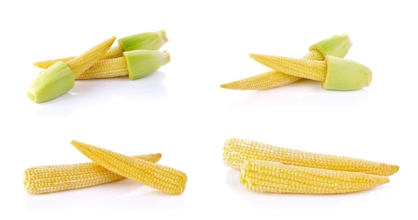 Набор кукурузы Baby изолирован на белом фоне — стоковое фото
