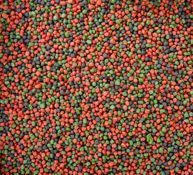 akvaryum arka plan için renkli balık yiyecek kadar kapatın