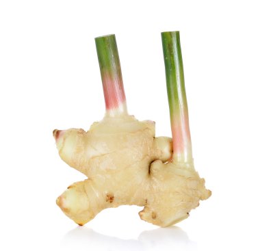 흰색 배경에 고립 된 생강