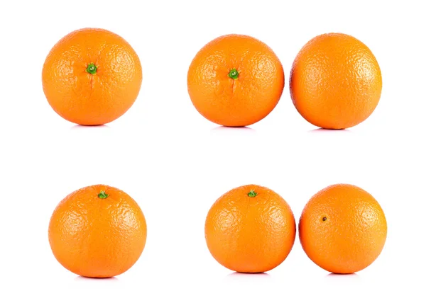 Коллекция мандаринского оранжевого цвета на белом фоне — стоковое фото