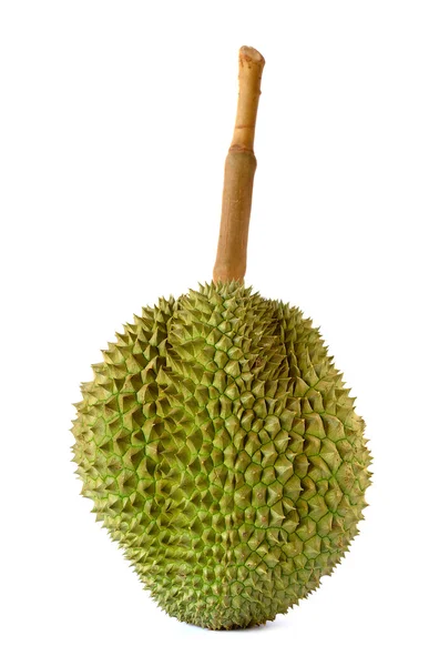 King of fruits, durian long stalk, isolated on white background — Stock Photo, Image