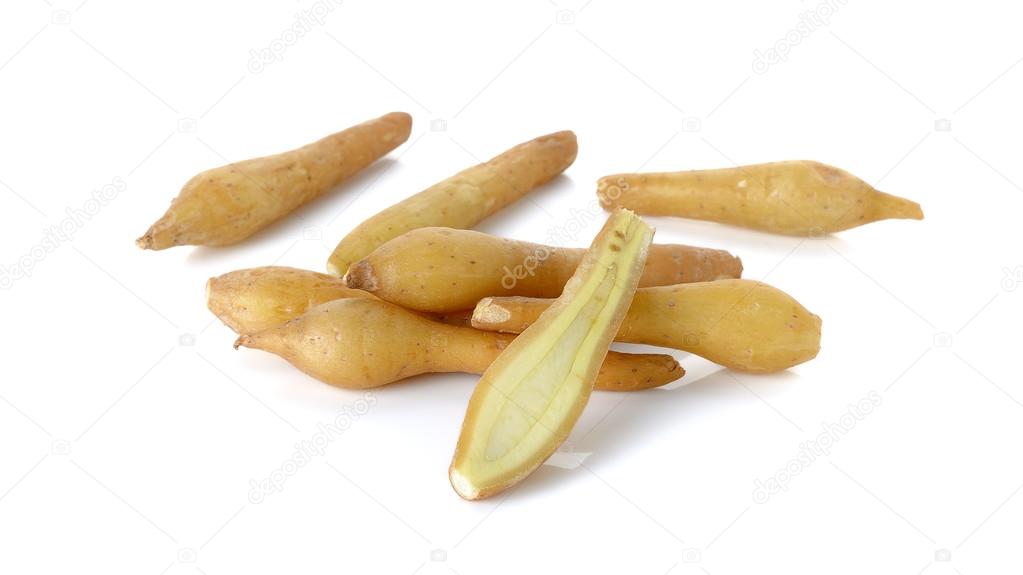 Fingerroot isolated on the white background
