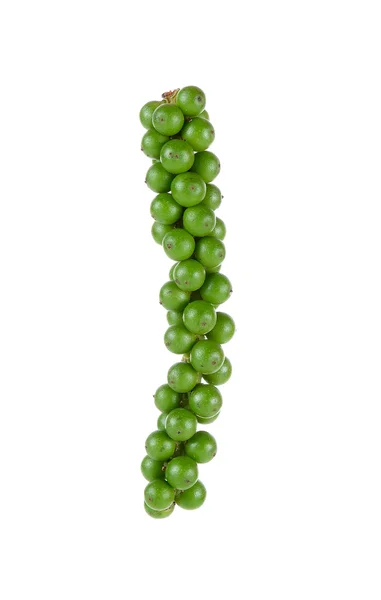 Green peppercorns isolated on the white background — Stock Photo, Image