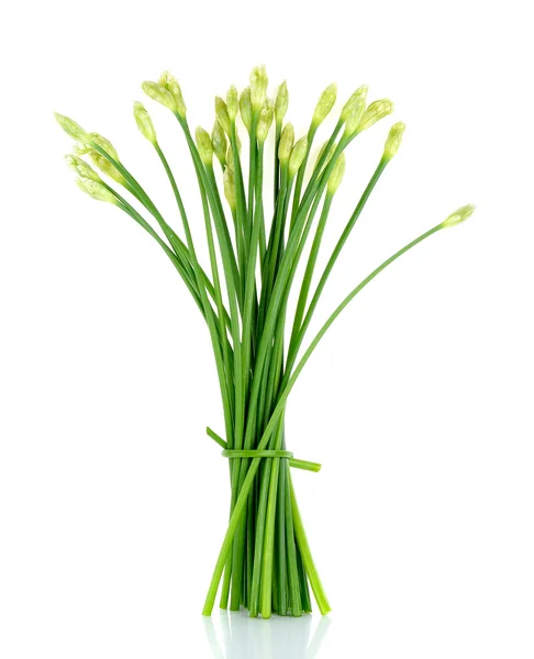 Chives flower or Chinese Chive isolated on white background — Stock Photo, Image