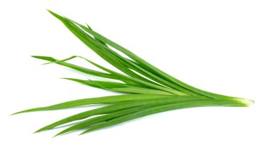 Beyaz arka plan üzerinde izole pandan yaprak