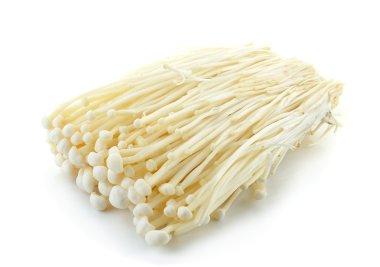 Beyaz arkaplanda izole edilmiş altın iğne mantarı