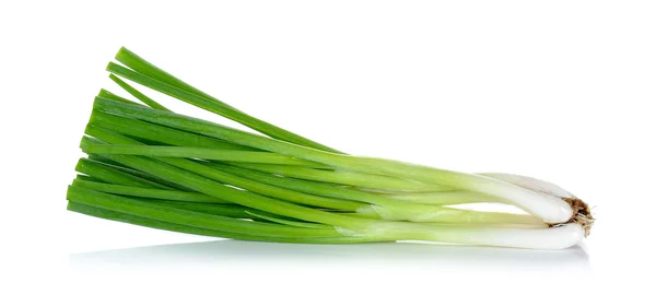 Cebolla verde aislada en el fondo blanco — Foto de Stock