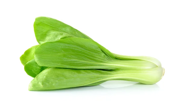 Bok choy vegetal isolado no fundo branco — Fotografia de Stock