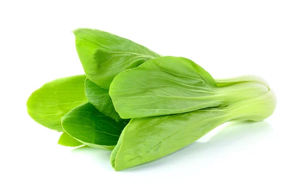 Bok choy vegetal isolado no fundo branco — Fotografia de Stock