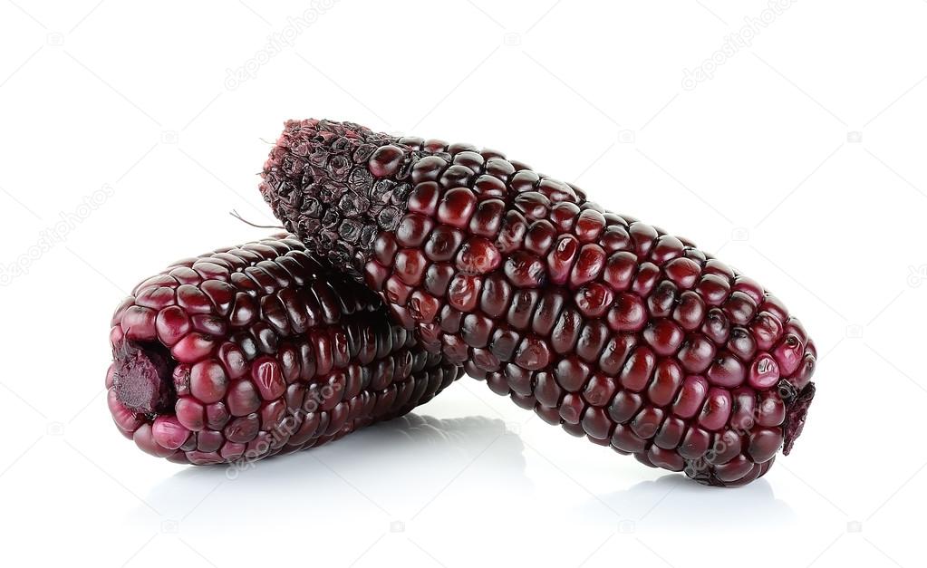 Red corn isolated on the white background